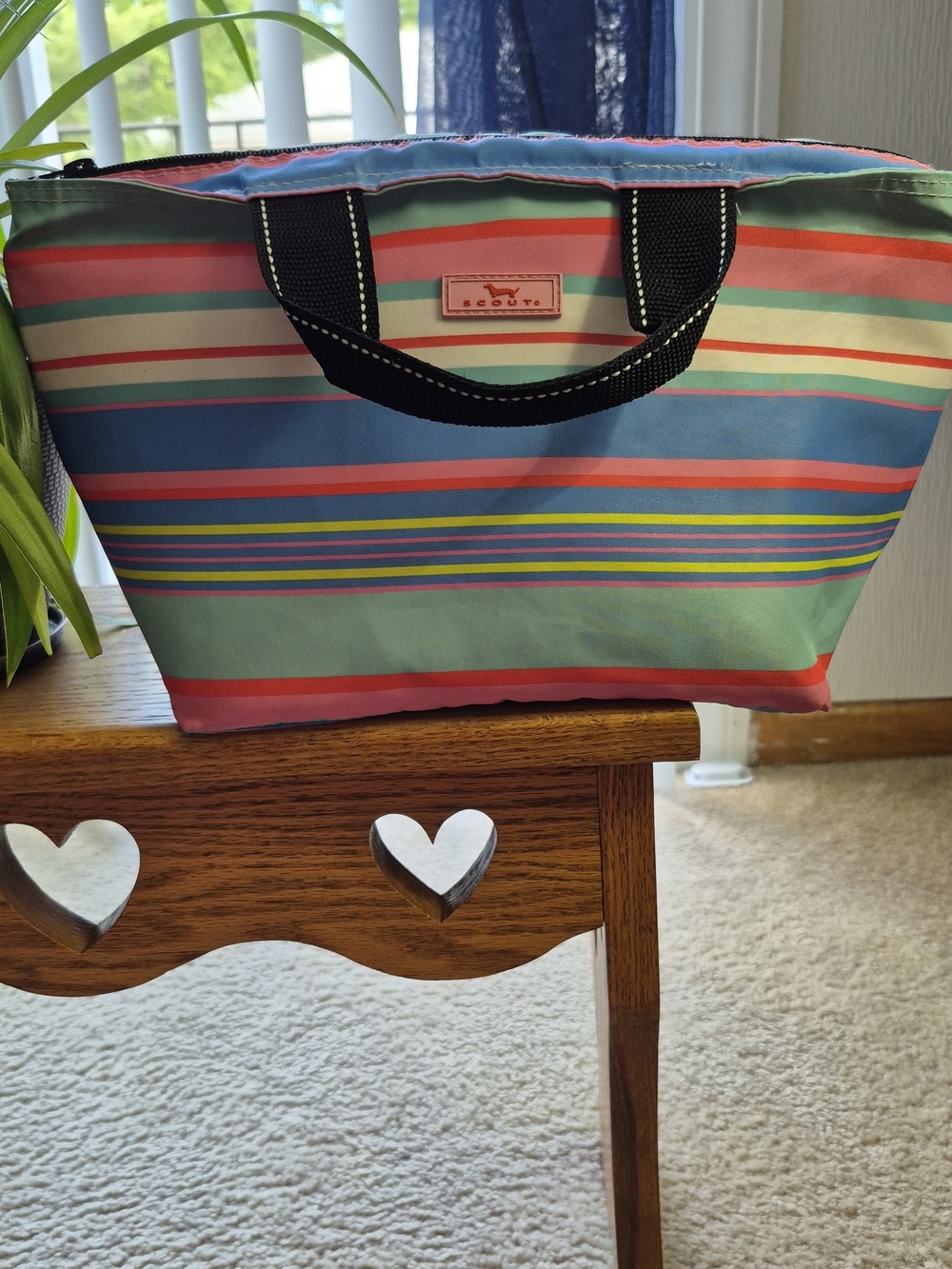 Scout Striped Insulated Lunch Tote. Good Used Condition